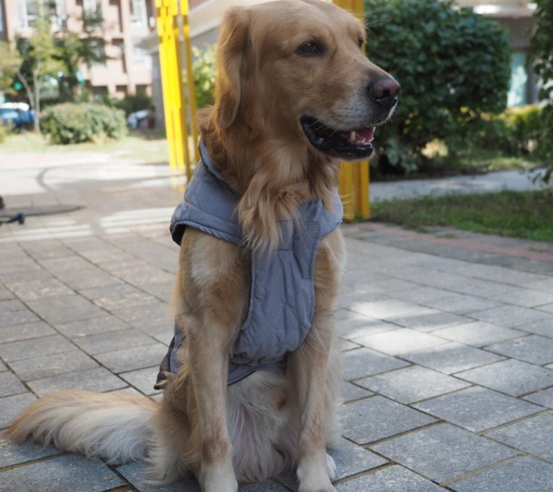 Dog winter clothes, large and medium sized dog coats, Golden Retriever small dog vest, pet supplies