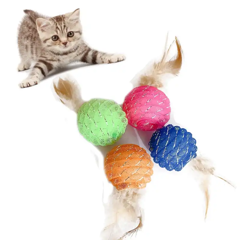 cat entertainment toys