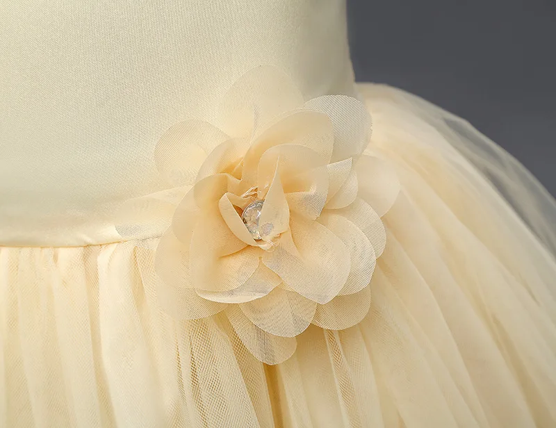 3726523377_1933995610