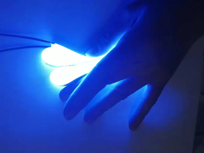 11832649942_1090070841