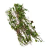 Resin Vine Rattan Model - Scenery Model Miniature Plants for DIY Scenes ► Photo 3/6