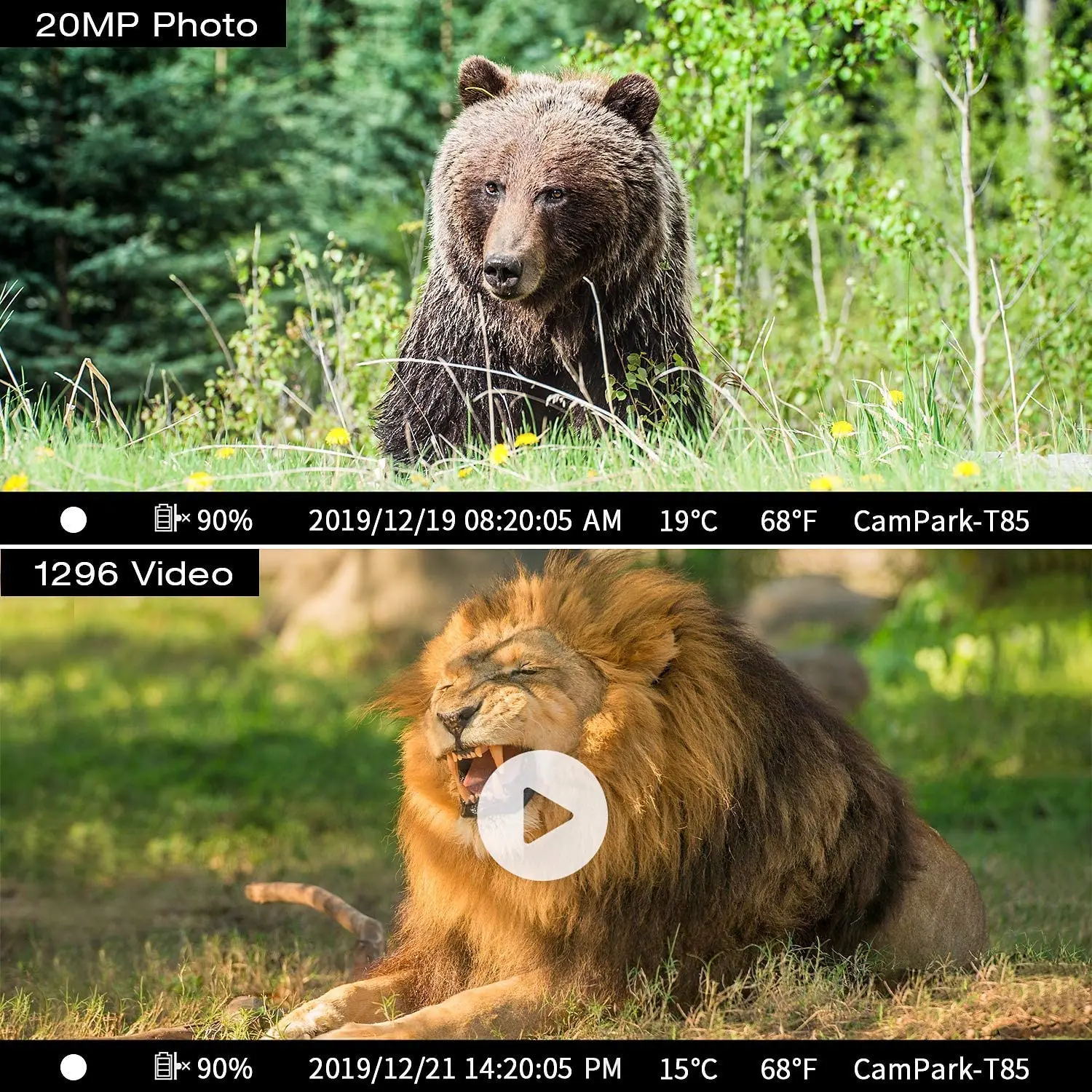 4K Hunting Camera Trap 20MP Infrared Hunt Night Vision Support 256GB Wildlife Photo-trap Hunting Trail Photo Camera Foto Chasse