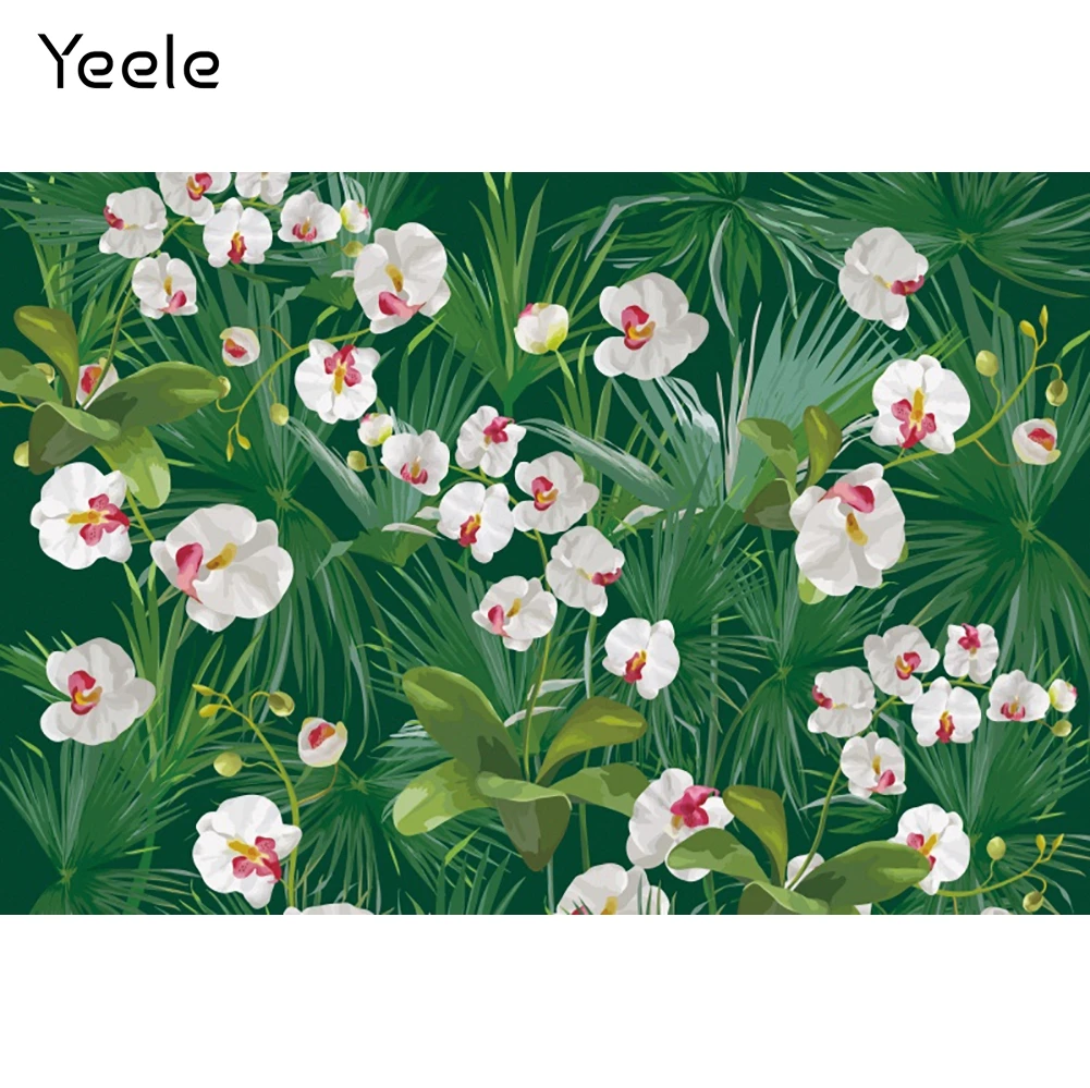 Yeele- ް       ,   Ʃ Կ 