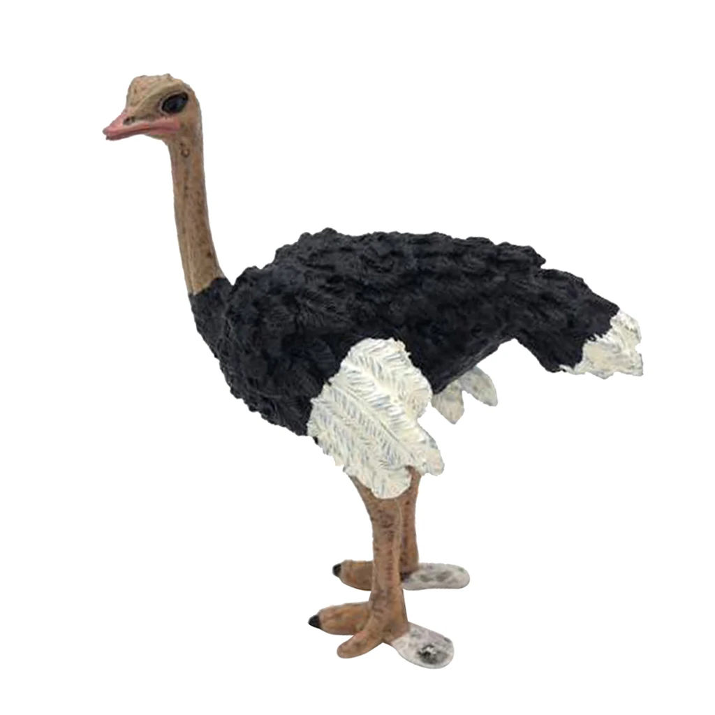  Figurines Animals Model Action Figures for Kids Collection Toys Ostrich Teaching Animal Model Photo - 4000186704809