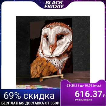 

Painting by numbers with additional elements "Owl", 30x40 cm 4448593
