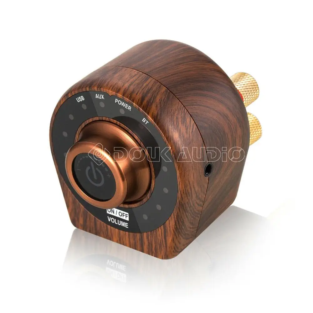Nobsound Мини Bluetooth 5,0 цифровой усилитель мощности TPA3116 Класс D стерео аудио усилитель для дома Автомобиля Морской Колонки USB AUX In