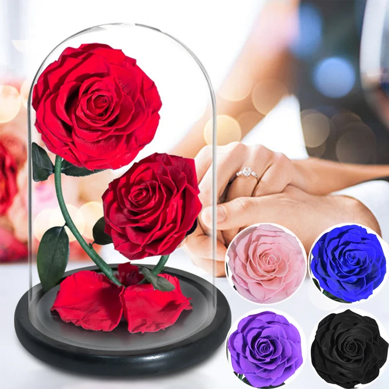 ガラスドーム 花 バラ Rose Beast Glass The in LED A Gift Romantic Red ローズ Enchanted  Beauty and Light Rose Rose Silk Dome Movie