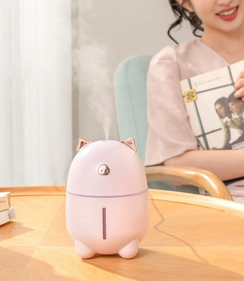 12223403554_1464171590