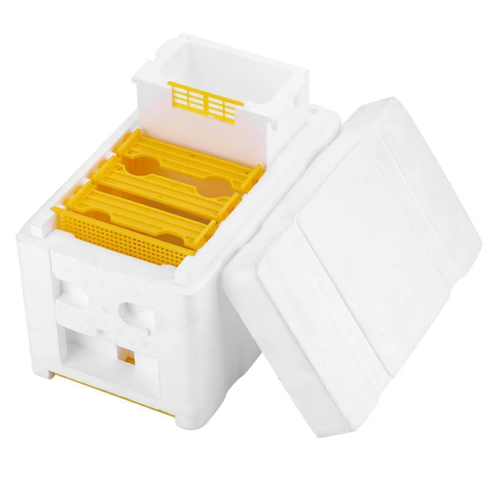 Температурный контроль Pollination Box Автоматическая медовая вязка урожая мед расческа строительный белый пчелиный улей пена пластик легкое обслуживание