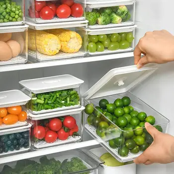 

Plastic Refrigerator Food Preservation Box Kitchen Transparent Compartment Food Storage Box Crispers Storage Container
