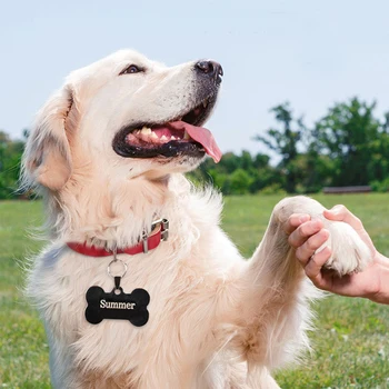 

Cat Dog Id Tag Free Engraving Dog Collar Pet Charm Pet Engraving Name Pendant Bone Necklace Collar Puppy Cat Collar Accessory