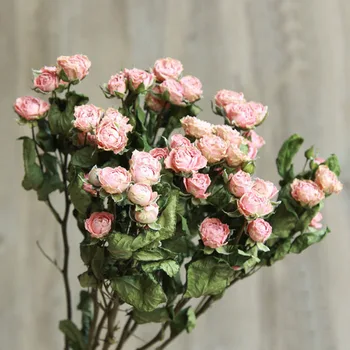 

5pcs/Bouquet Moistureproof Multi Color Rose Dried Flower for DIY Wedding Home Wedding Christmas Decorative Flowers Photo Drops