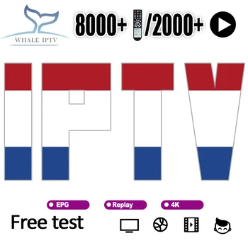 

Netherlands IPTV Germany Belgium android box 8000+ with xxx support iptv with smart tv m3u enigma2 PC Linux