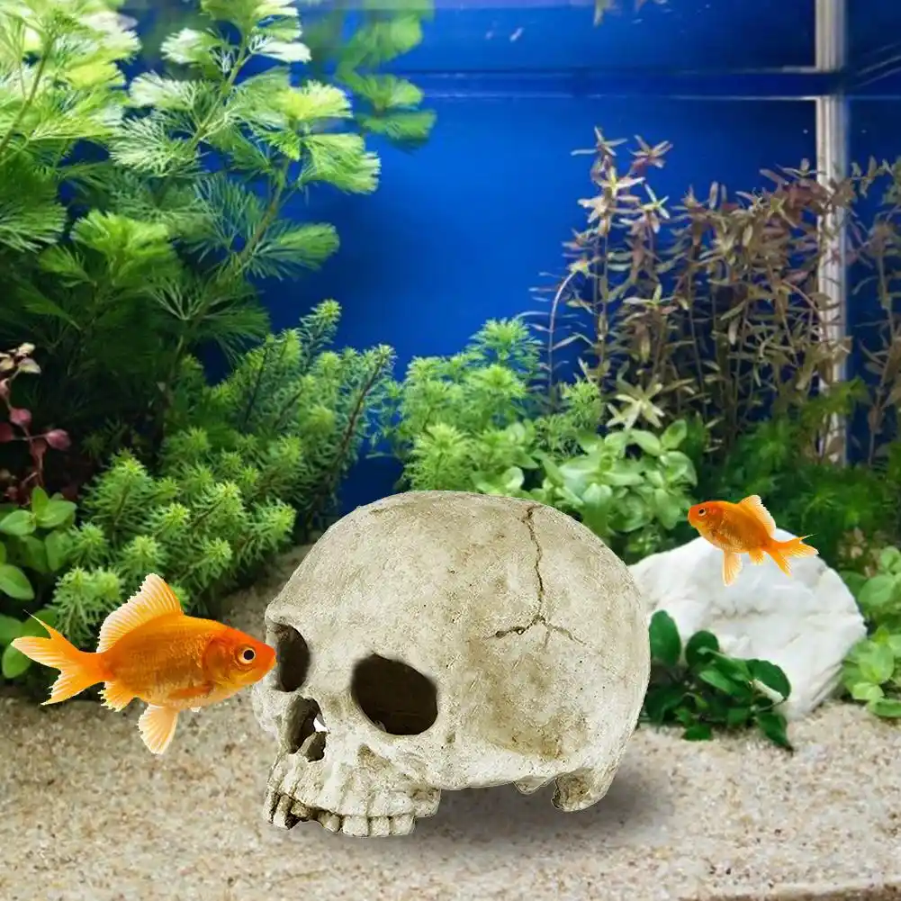 Download Strand aquarium dekorationen For Android Free