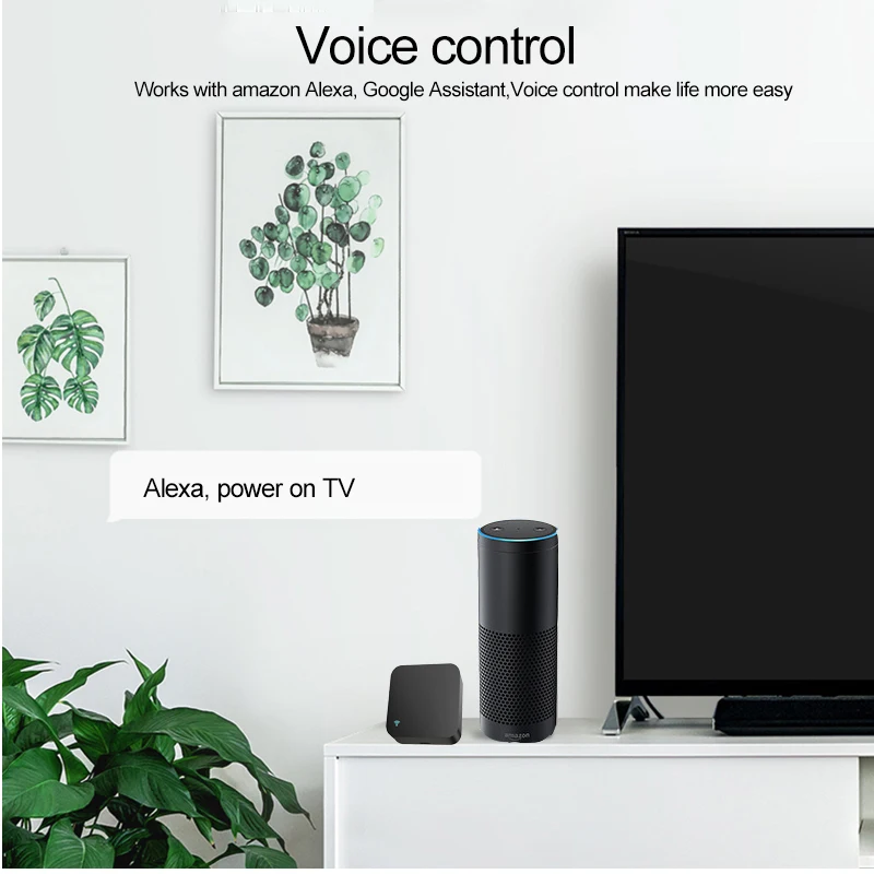 Rm mini3 work with alexa