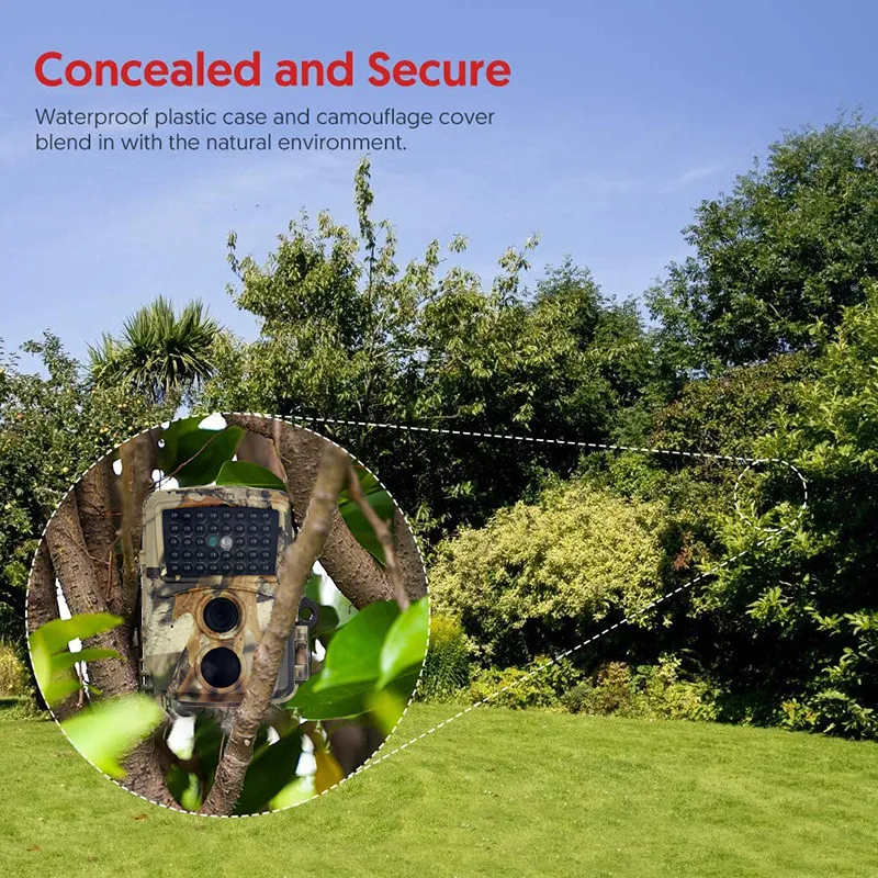 81SOsxqbukL._AC_SL1001_