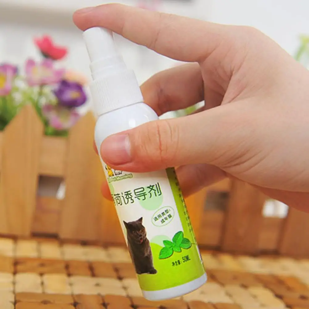 50ml Catnip Spray Cat Excitement Toy Cat Organic Natural Scratch Healthy Inducer Catnip Funny Scratch Toy