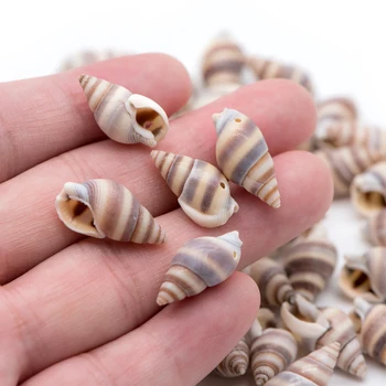 

20pcs Natural Shell Charms, Cowrie Shell Pendants, Sea/ Beach Jewelry Supplies 17-20mm (#V1365)