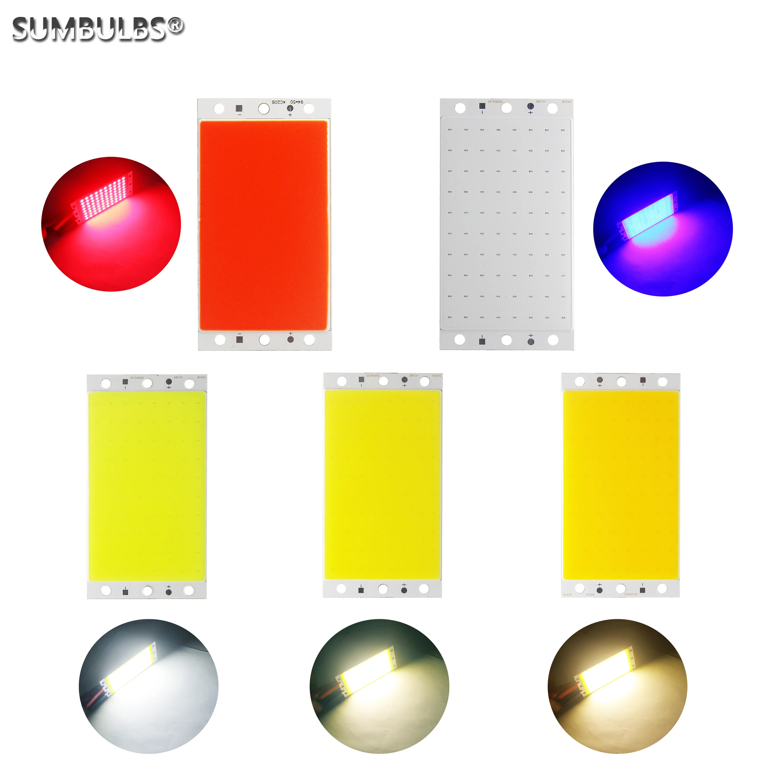 12v 16w Led Clearance Buy | www.og6666.com