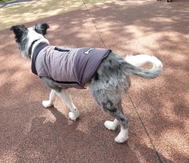 11231307539_1954311762