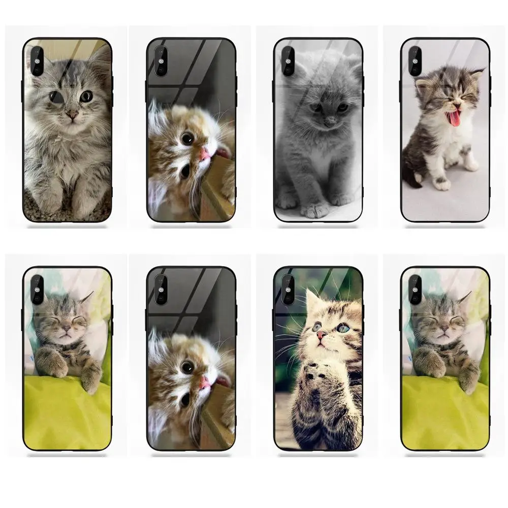 Kitty Song The Big Bang Theory для Apple iPhone 5 5C 5S SE 6 6S 7 8 Plus X XS Max XR Мягкий ТПУ чехол + закаленное