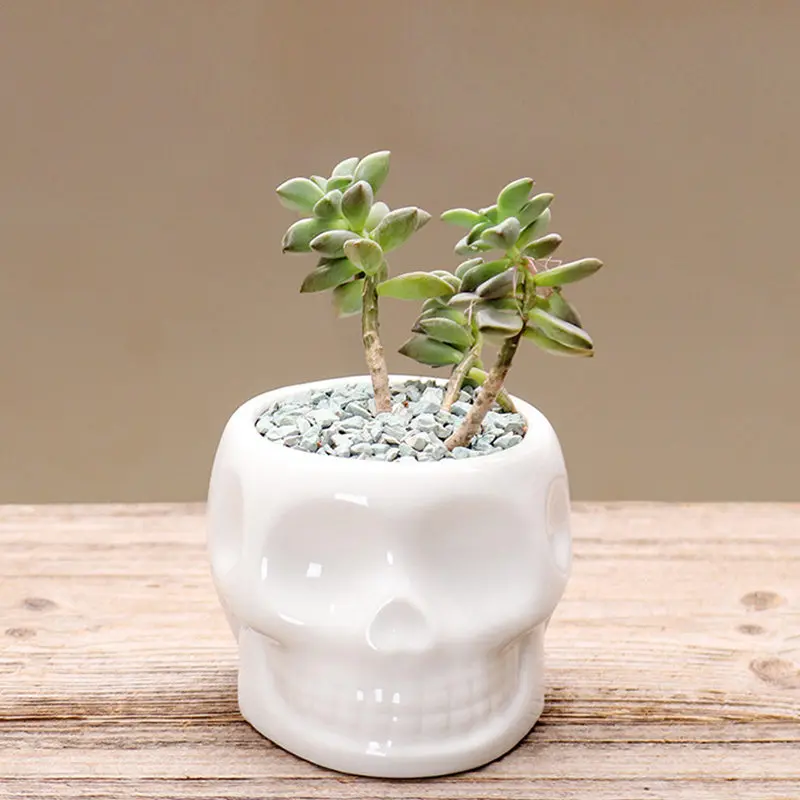 

Ceramic Flower Pots Creative Succulent Flower Planter Eco-friendly Design Flower Pot Home