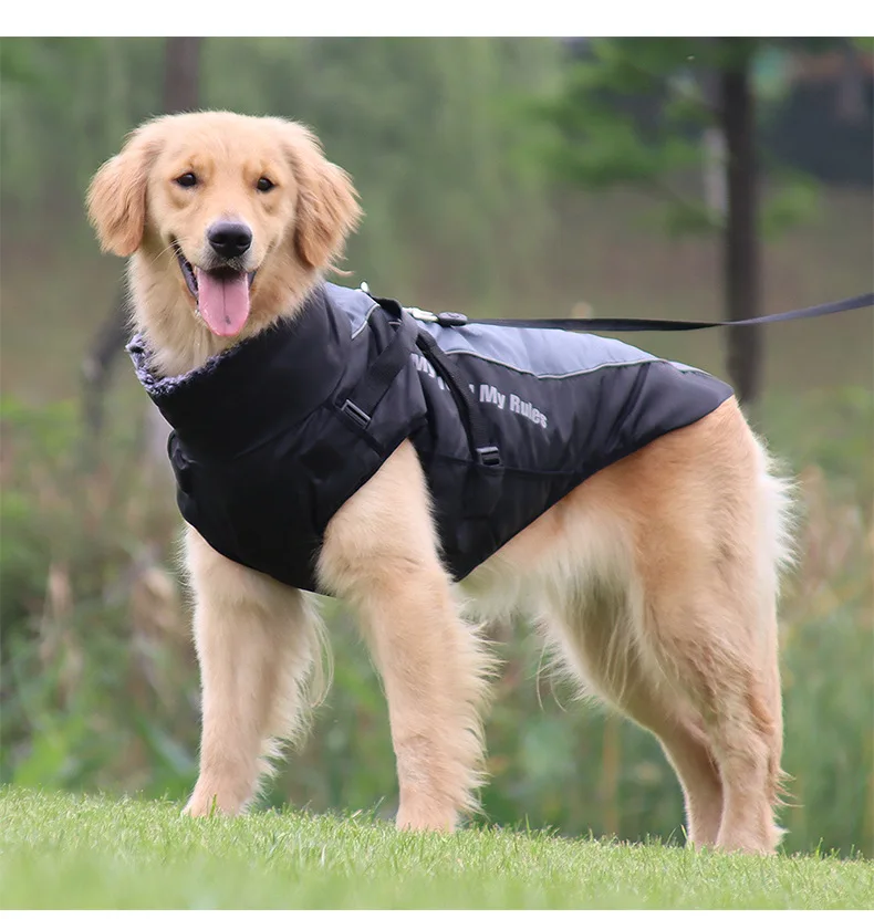 Dog Jacket with Harness | Waterproof Jacket for Large Dog | Big Windproof Coats