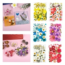Dried Flowers Bulk Buy Dried Flowers Bulk With Free Shipping On Aliexpress