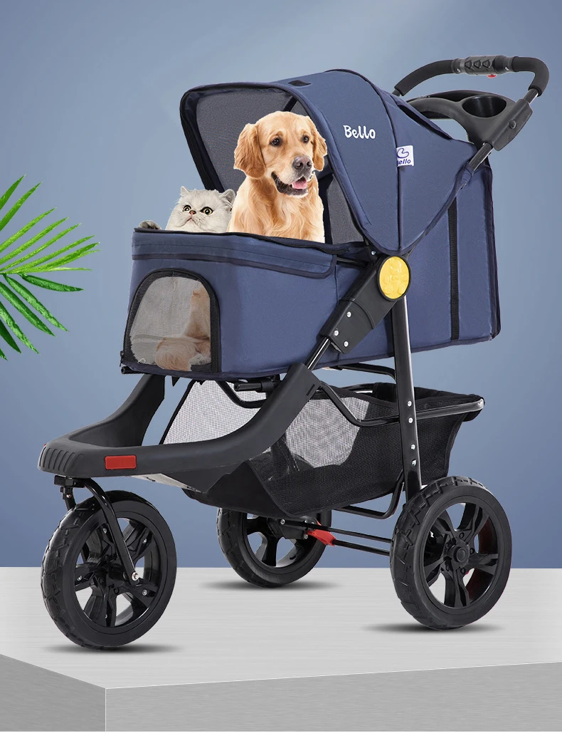 10847918718_1554578335