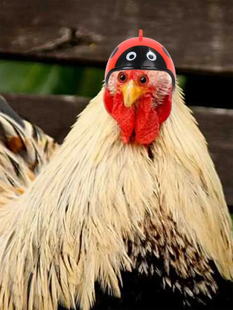 Курица шлем мелких животных каску птица шапки, головные уборы для животных Курица шлем защищают цыпленка для крепления на шлем