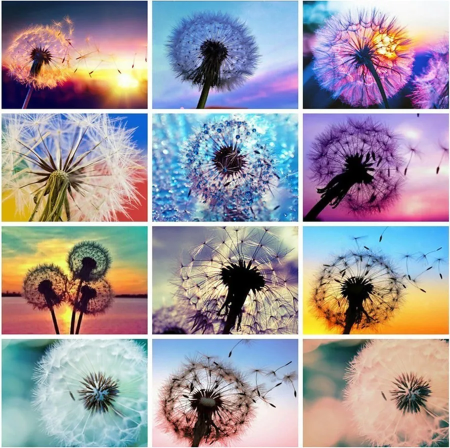 

DIY 5D Diamond Painting Dandelion Pictures Diamond Full Drill circular Landscape Diamond Embroidery Home Decor