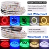 LED Strip 5050 RGB CCT RGBCCT RGBW RGBWW Lights 12V 24V Waterproof 5M 300LED White Blue Warm White LED Tape Lights Flexible ► Photo 2/6