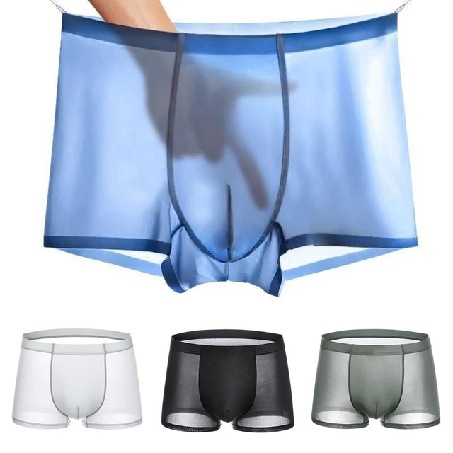 Men Sexy See Through Briefs, Bulge Pouch Breathable Underwear, Ultra-thin  Perspective Shorts Blue at  Men's Clothing store