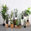 Cactus Artificial Succulent Plant, False Plastic, Desert Thorn Ball, Large Flower Arrangement, Family Garden Decoration 1
