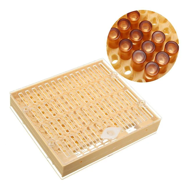 Bee Cell Cups Cup Kit Queen Ketrec Greenvive Nevelési Rendszer Méh Tenyésztési Készlet Termesztési Doboz 110Pcs Műanyag - Image 6