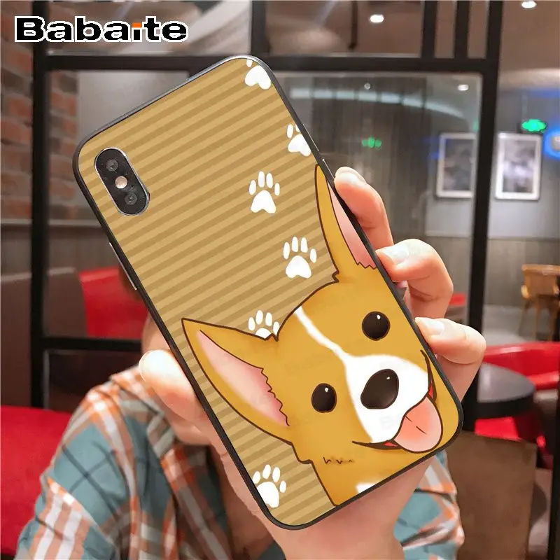 Cartoon Cute Corgi Dog