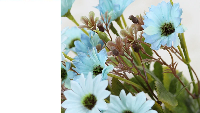 4274437798_804353242