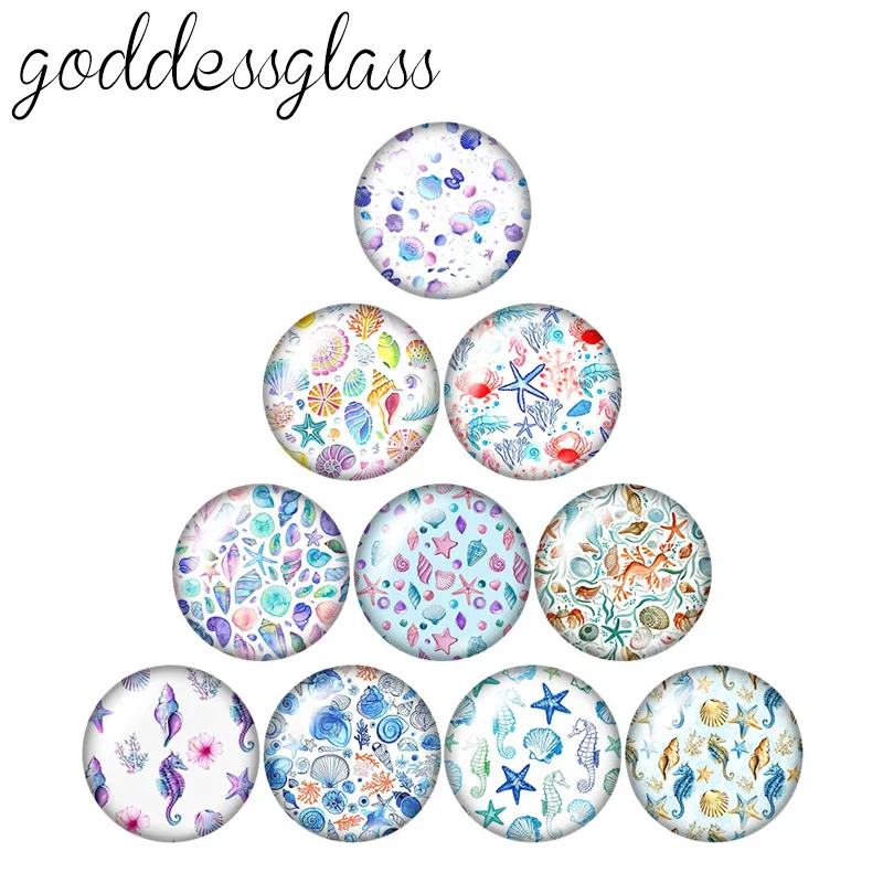 

New conch starfish shell patterns 10pcs 12mm/18mm/20mm/25mm Round photo glass cabochon demo flat back Making findings ZB0948