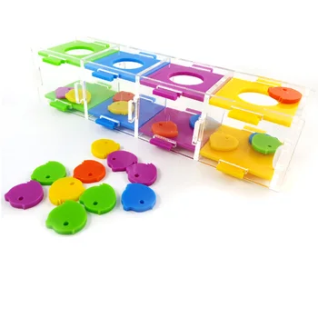 

Color Separate Bird Ring Interactive Parrot Toy Set Intelligence Training Small Development Pet Funny Toys Acrylic Dropshiiping