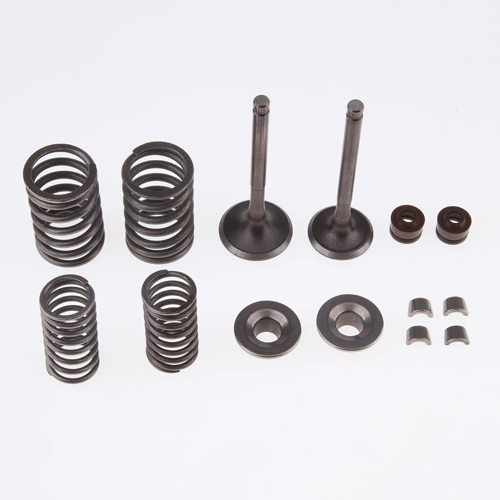 Intake & Exhaust Valves Set with Valve Spring Assembly Kit for GY6 100cc Engine Chinese Scooter Moped  Go Kart
