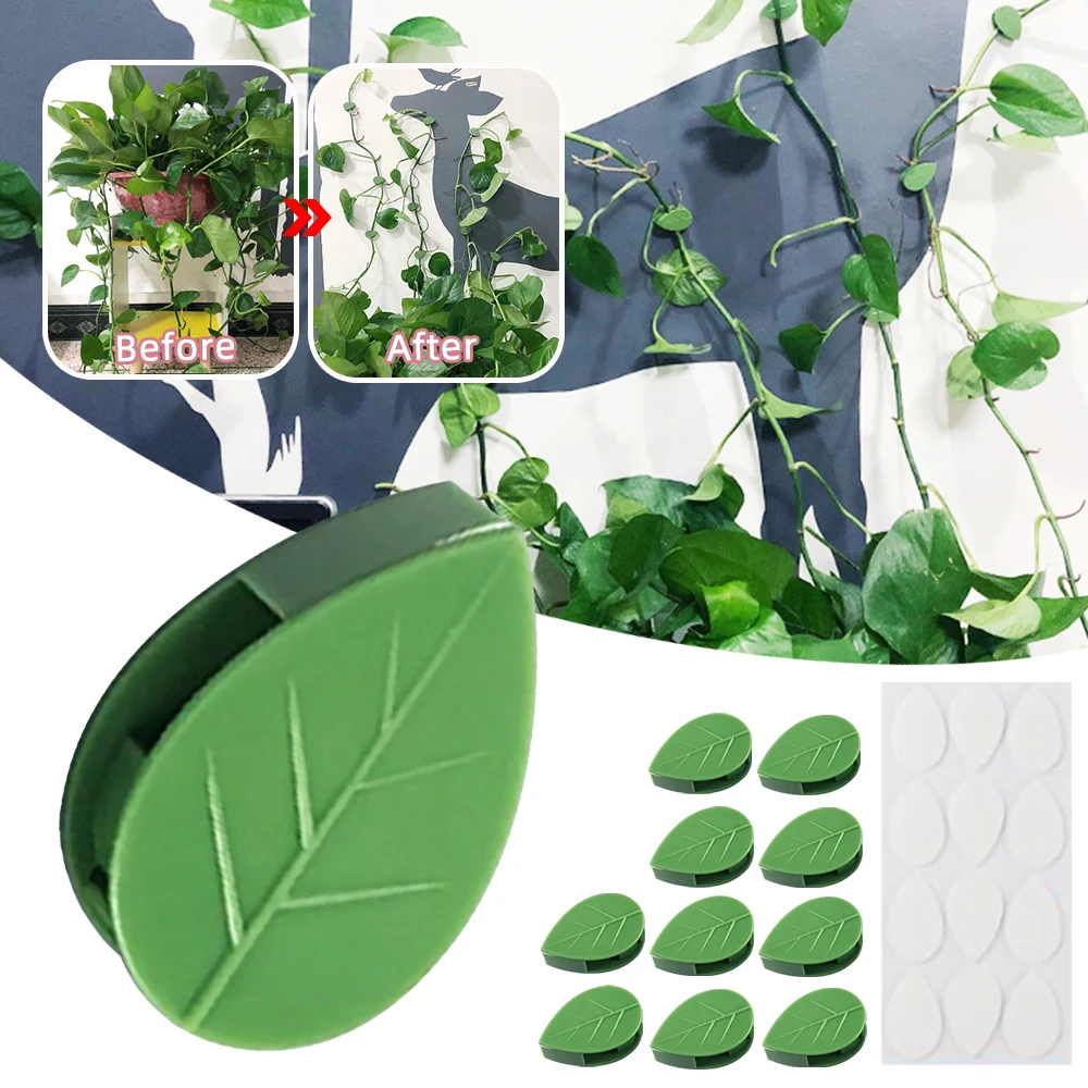 

Hot Sale Plant Support Invisible Plant Climbing Wall Buckle Leaf Clips Traction Holder Garden Fixture Rattan Vine Bracket Fixed