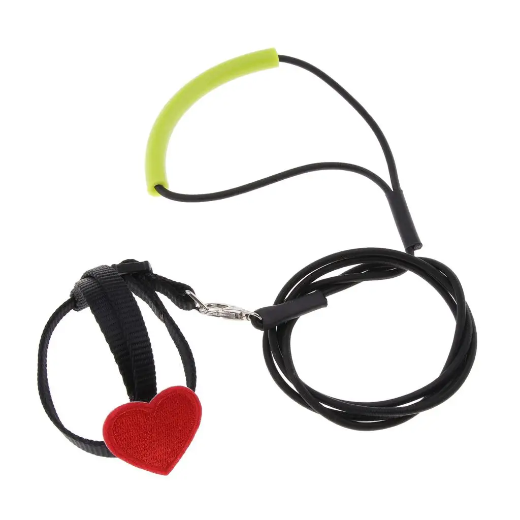 Bird Parrot Harness Leash Pet Rope For Birds Outdoor Training Leash Parrot Bird Leash Bird Harness Leash