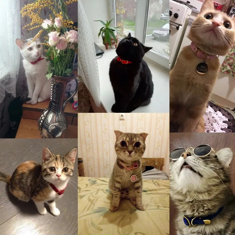 Cat Collar With Bell Safety Cat Collars Puppy Dog Collar For Cats Small Dogs Kittens Solid Pet Collar Chihuahua Products Cat Collar With Bell Safety Cat Collars Puppy Dog Collar For Cats Small Dogs Kittens Solid Pet Collar Chihuahua Products