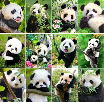 

Yikexin Diamond Painting Panda bamboo 5D DIY Full Round Drill Animals Diamond Embroidery Cross Stitch Kit Home Decor