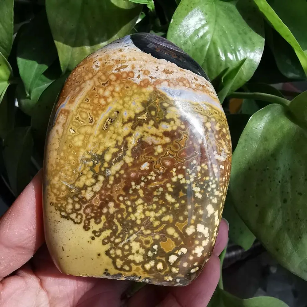 微信图片_20200311103803