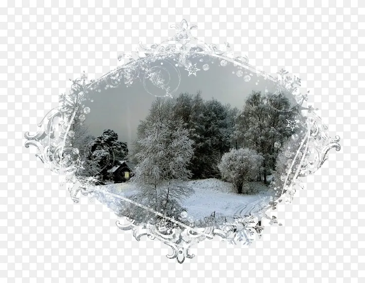 树冬树png图片素材免费下载 图片编号 Png素材网