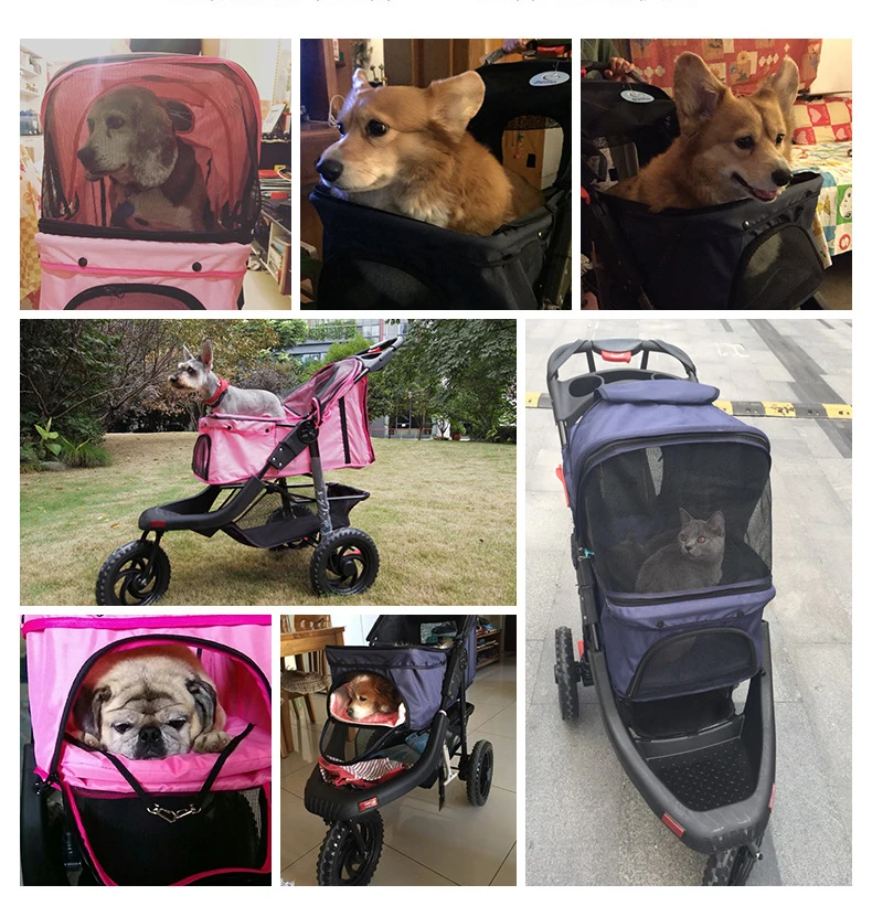 10847933495_1554578335