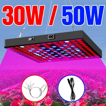 

Indoor LED Plant Growing Lamp 220V LED Full Spectrum Grow Light LED 30W 50W Phyto Lamp 110V Hydroponics Light EU US UK Plug 2835