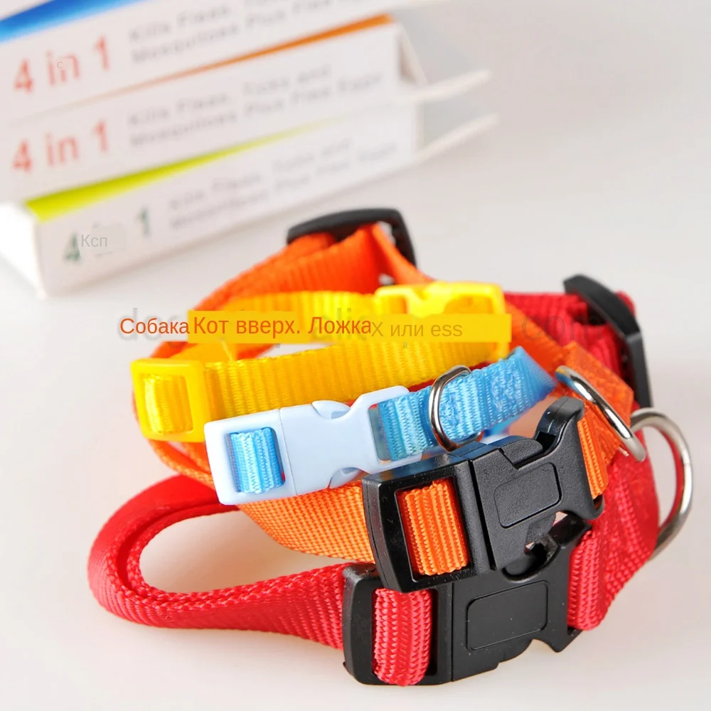 00006_1956973706_715629888 