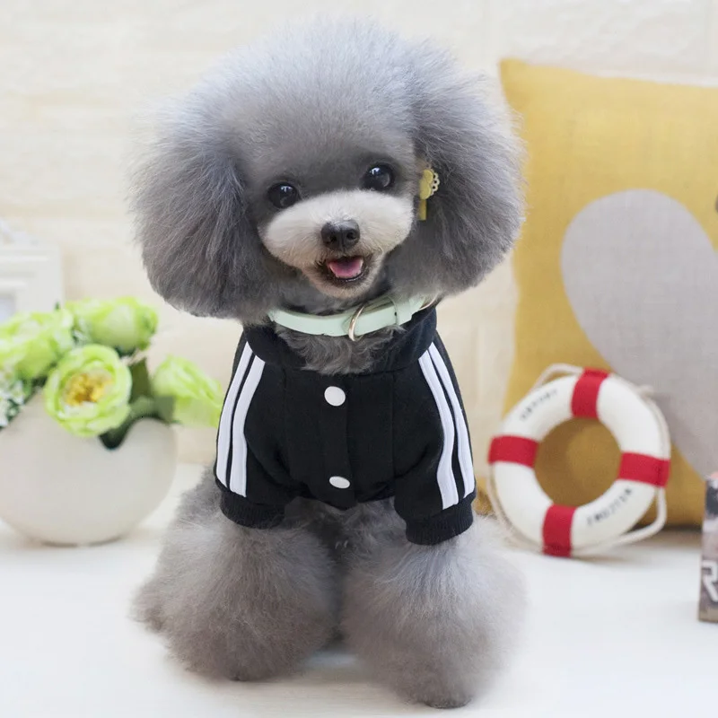 3884983829_277183843